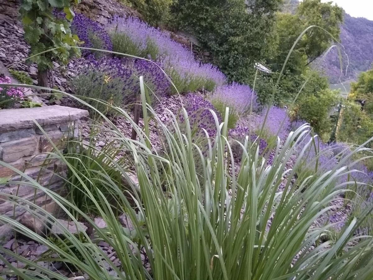 Ferienwohnung Lavendel Cochem Eksteriør bilde