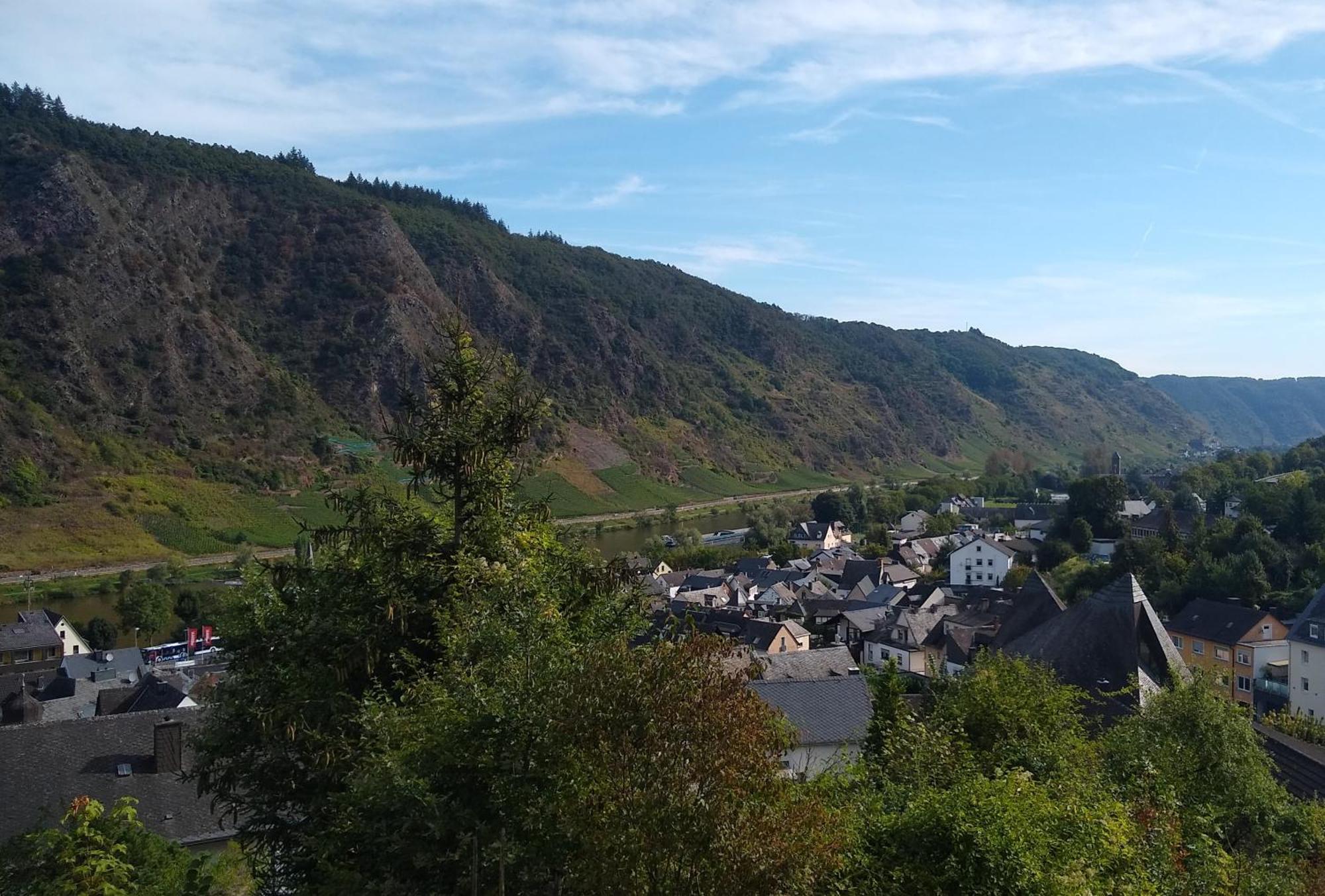 Ferienwohnung Lavendel Cochem Eksteriør bilde